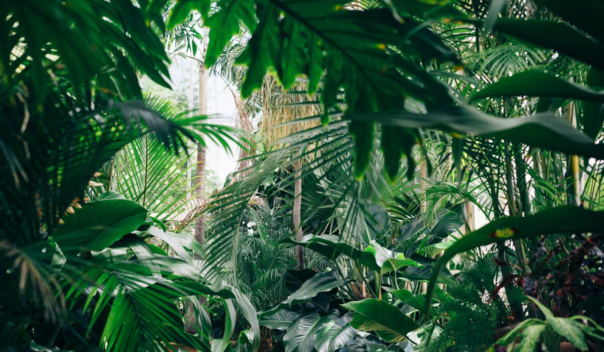 chris-abney-qLW70Aoo8BE-unsplash